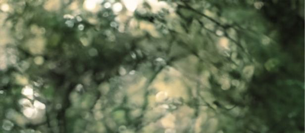 أسامة. tweet media