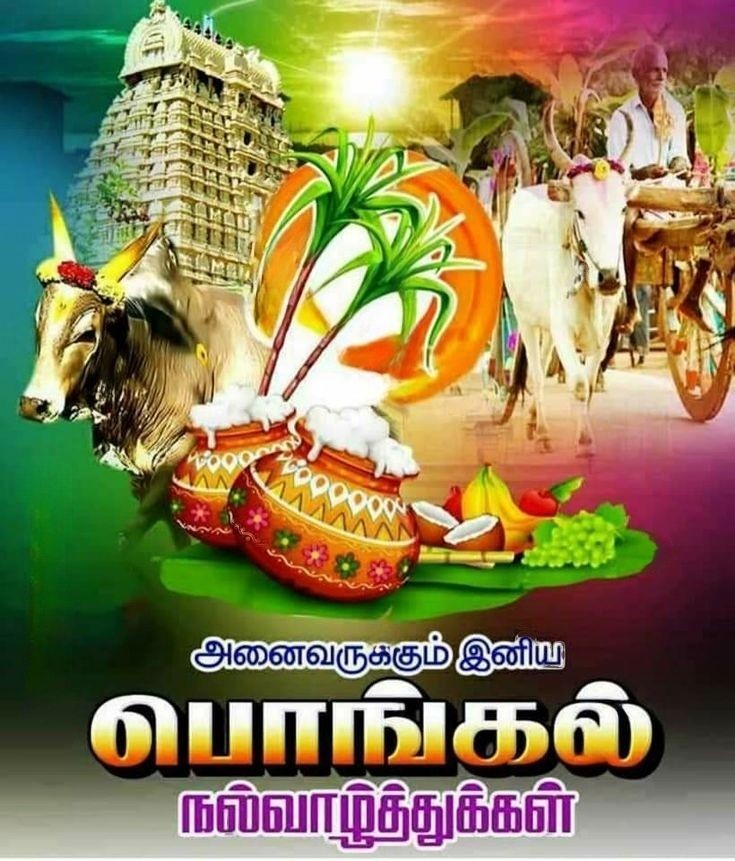 ࿐தமிழ்᭄ ⓉⒶⓂⒾⓁⒶⓃⒹⒶ༆ tweet media