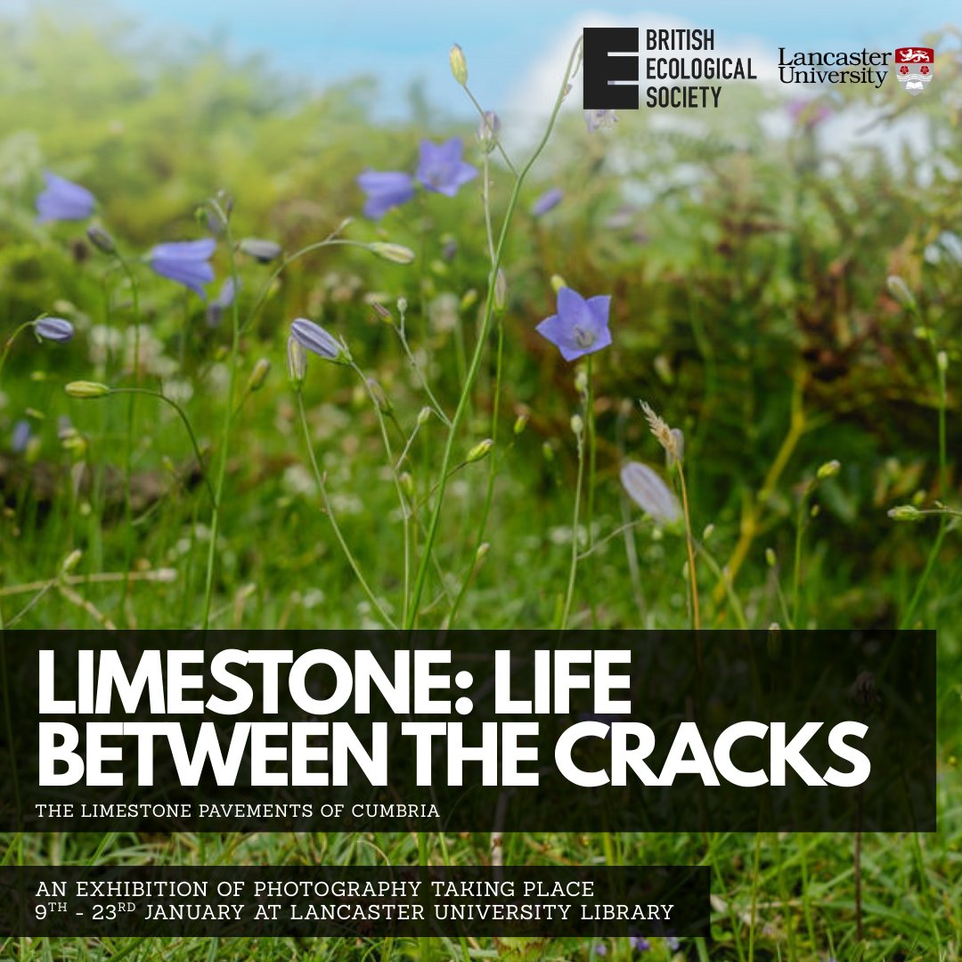 LimestonePP's tweet photo. The limestone pavements exhibit has moved to Lancaster University library. So if you're on campus go and check it out! The exhibit will be there until January 23rd. https://t.co/vZpx4uy3mf
