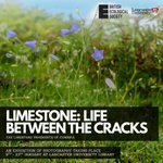 Photo by Limestone Pavement Partnership (@LimestonePP)