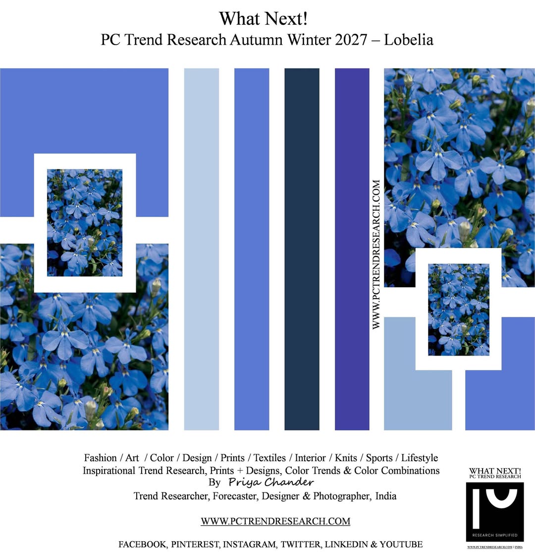 PC Trend Research tweet media