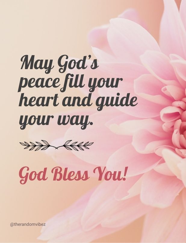 ﷽ Allah My King tweet media