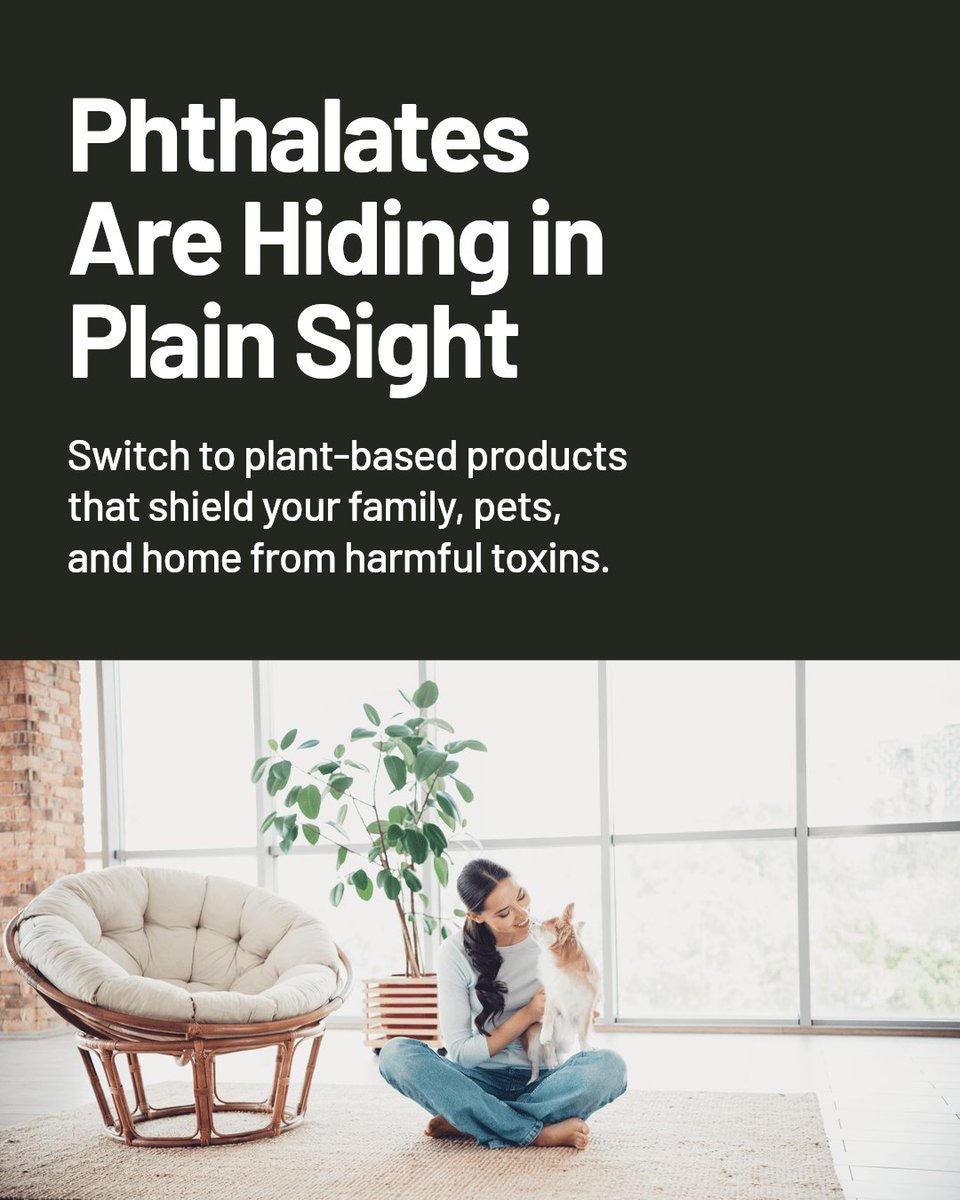 WellLifeShop's tweet photo. Phthalate-free products protect your health, home, and pets. Plant-based formulas reduce toxins and prevent allergies. Choose wellness for your family, furry friends, and the planet. https://t.co/9BAmwM2S22