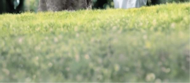 أسامة. tweet media