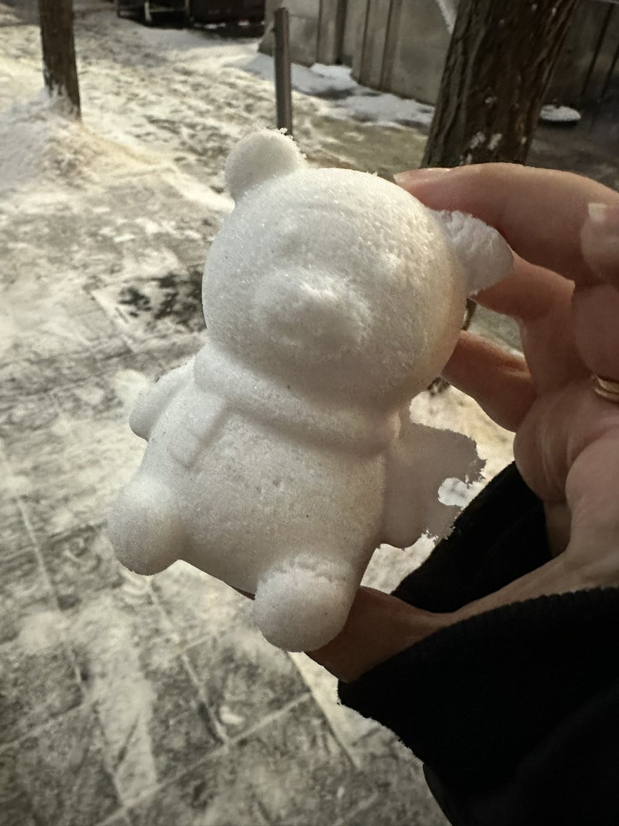 ⛄️🌨️☃️❄️