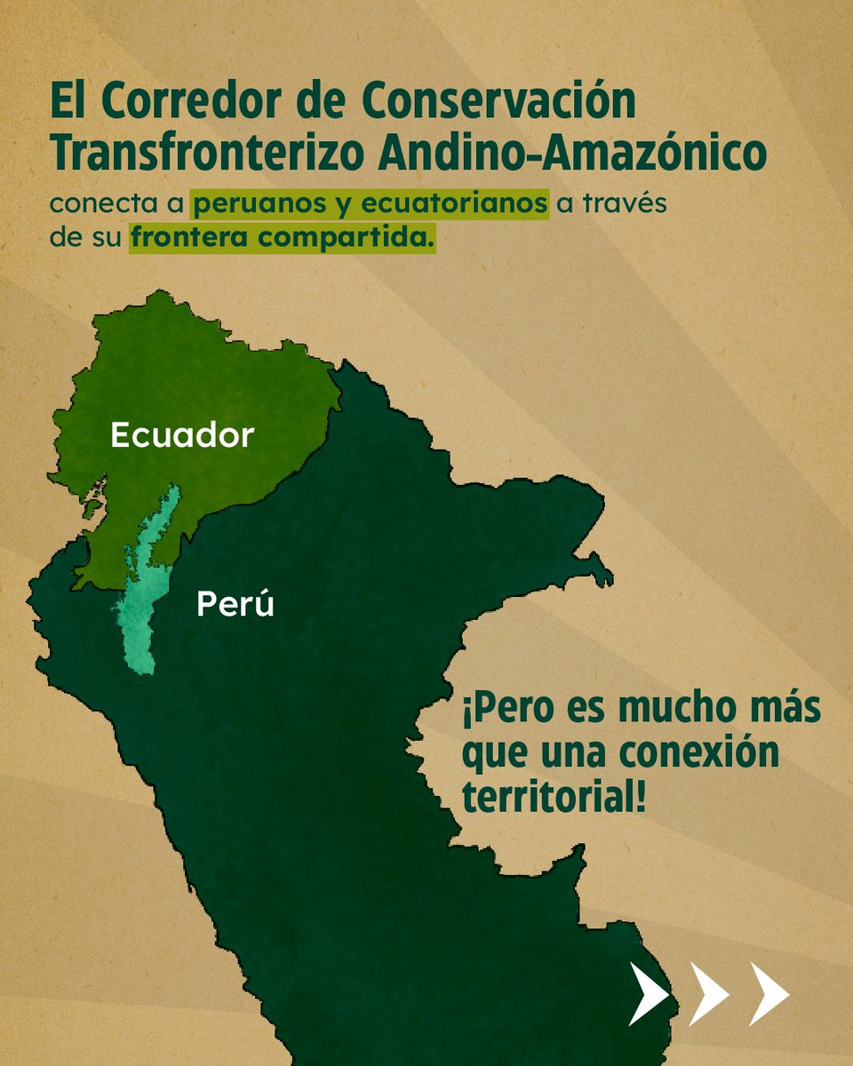 Plan Binacional Capítulo Ecuador tweet media