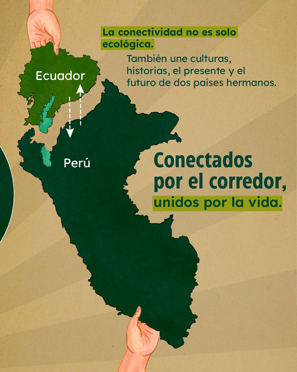 Plan Binacional Capítulo Ecuador tweet media