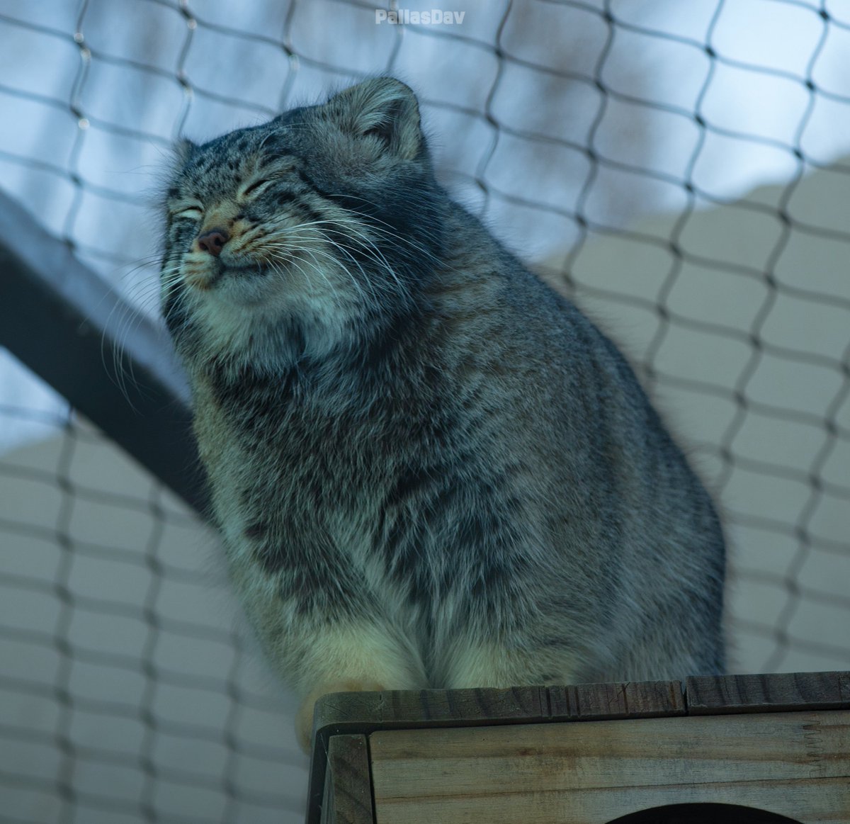 dont worry! we rebuilt him and now he is happy! 😃