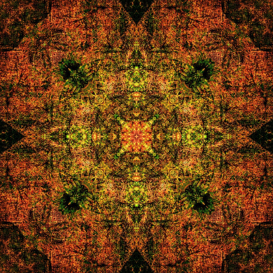 LeeVaris's tweet image. bobbiandleesphotoadventures with #mandalamonday – photo-mandala created from a single "seed" image... 2nd image is the "seed"

#artphotography
#fineartphotography
#contemporaryphotography
#symmetry
#abstract
#expressionist
#graphic