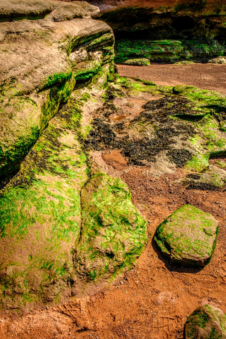 LeeVaris's tweet image. bobbiandleesphotoadventures with #mandalamonday – photo-mandala created from a single "seed" image... 2nd image is the "seed"

#artphotography
#fineartphotography
#contemporaryphotography
#symmetry
#abstract
#expressionist
#graphic