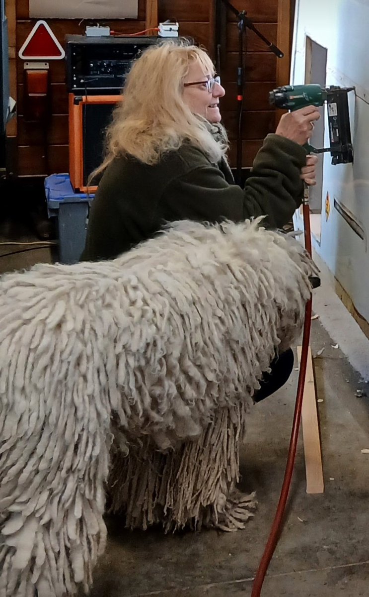 TheEnglishCarav's tweet photo. A busy day putting Matilda back together, under Goliat supervision! π€£πππ
#theenglishcaravancompany #komondor #rescuedismyfavoritebreed #workshopdog https://t.co/EYGF3c2jcR