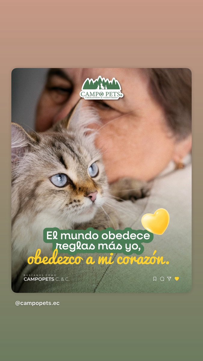 campopets_ec's tweet photo. https://t.co/vYNoXLo2d8