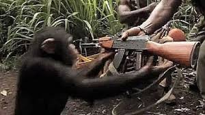 Jacob Wallenberg tweet media