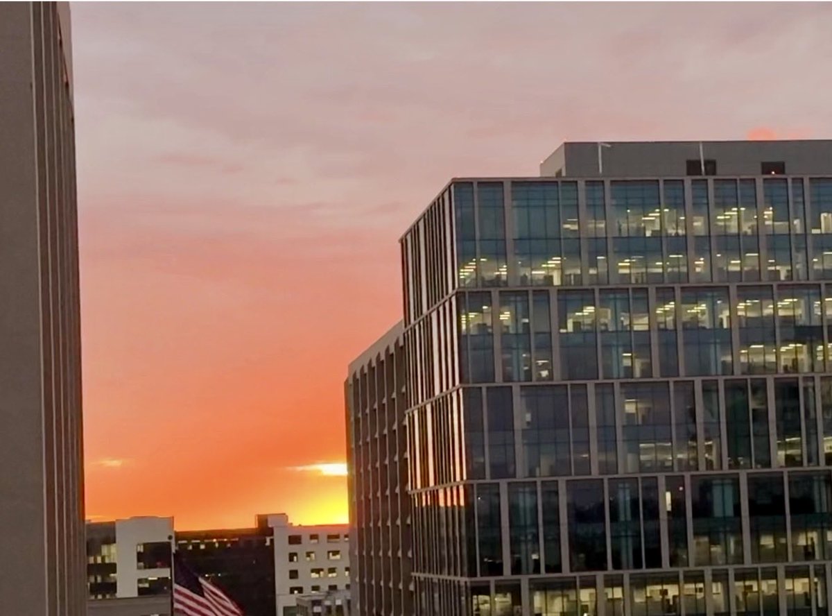 Megan Campbell tweet media