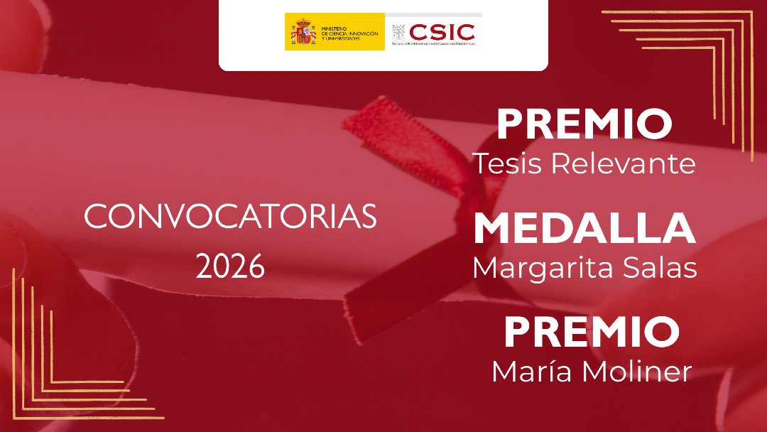 Postgrado CSIC tweet media