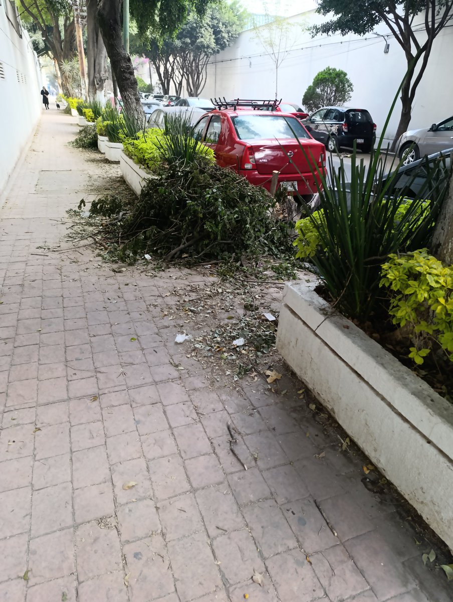 PericoDS tweet media