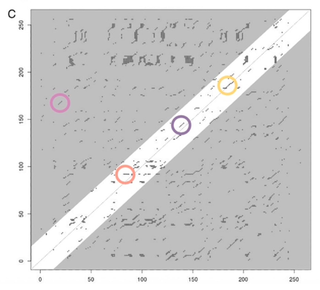 Matt Lieberman tweet media