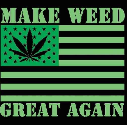 medicalgrower42's tweet image. By making it legal again!