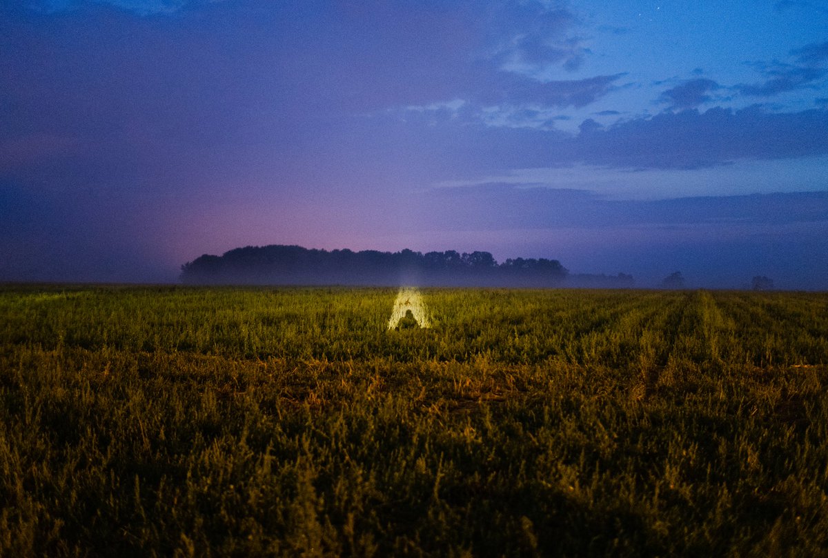 Post irony digital tweet media