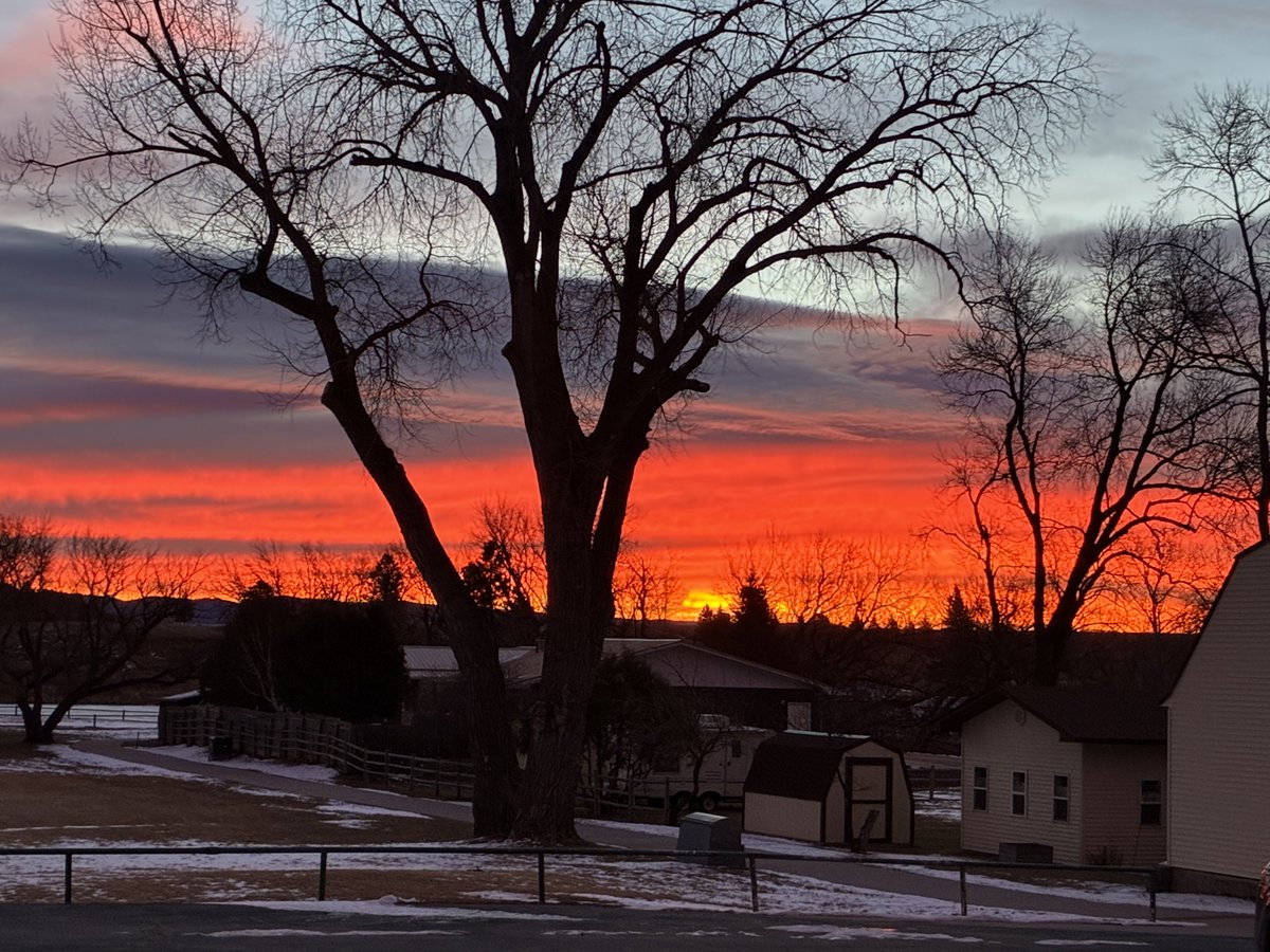 JimOconnorj's tweet photo. Good morning Sundance.  #itsagr8day2beaBulldog https://t.co/K4CsHk8XmT