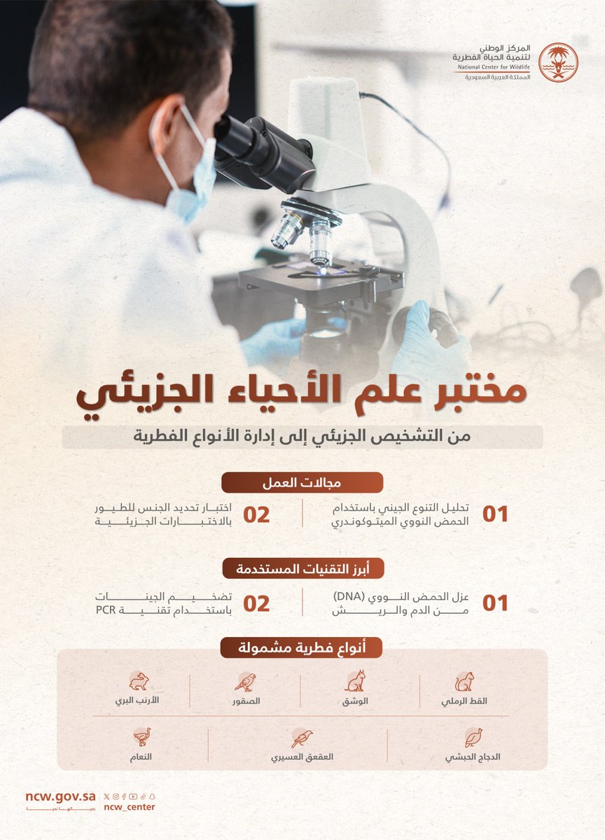 NCW_center's tweet photo. مختبر علم الأحياء الجزيئي بمركز التميز، يدعم المحافظة على الأنواع الفطرية، عبر التحاليل الوراثية ودراسة التنوع الجيني

#بحياتها_نحيا https://t.co/3SMuB48kiY