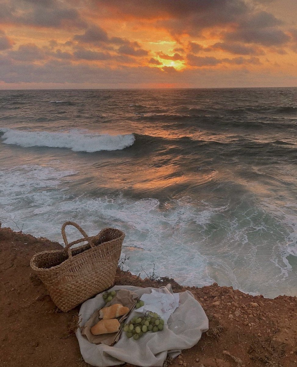 aestheticspost_'s tweet image. the ocean is free therapy.