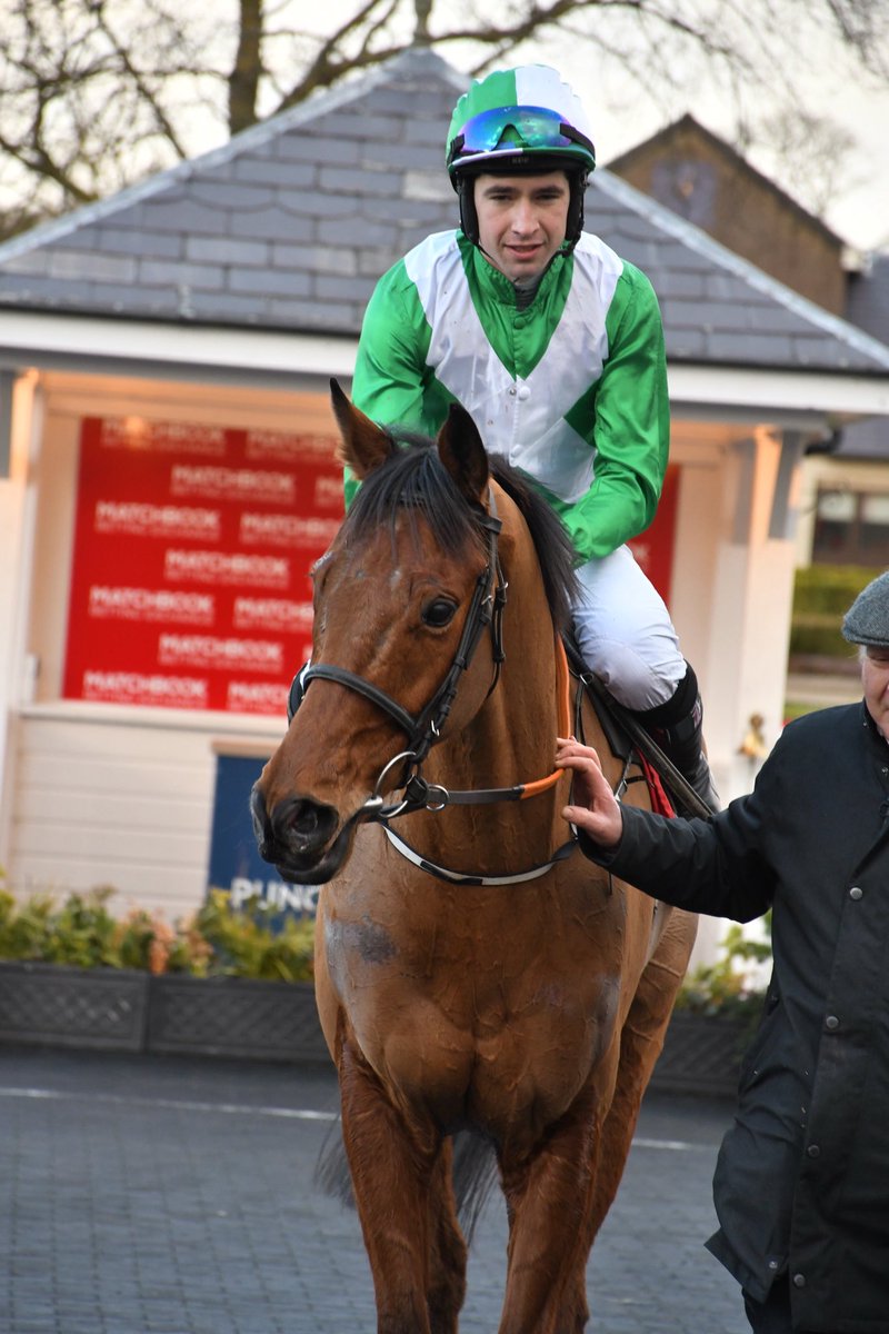 PCequinephoto's tweet photo. Shabby Hill trained by @cbyrnesracing is a winner @punchestownrace 12/1/26 @IrishRacing7 https://t.co/hvgwHbQ7ye