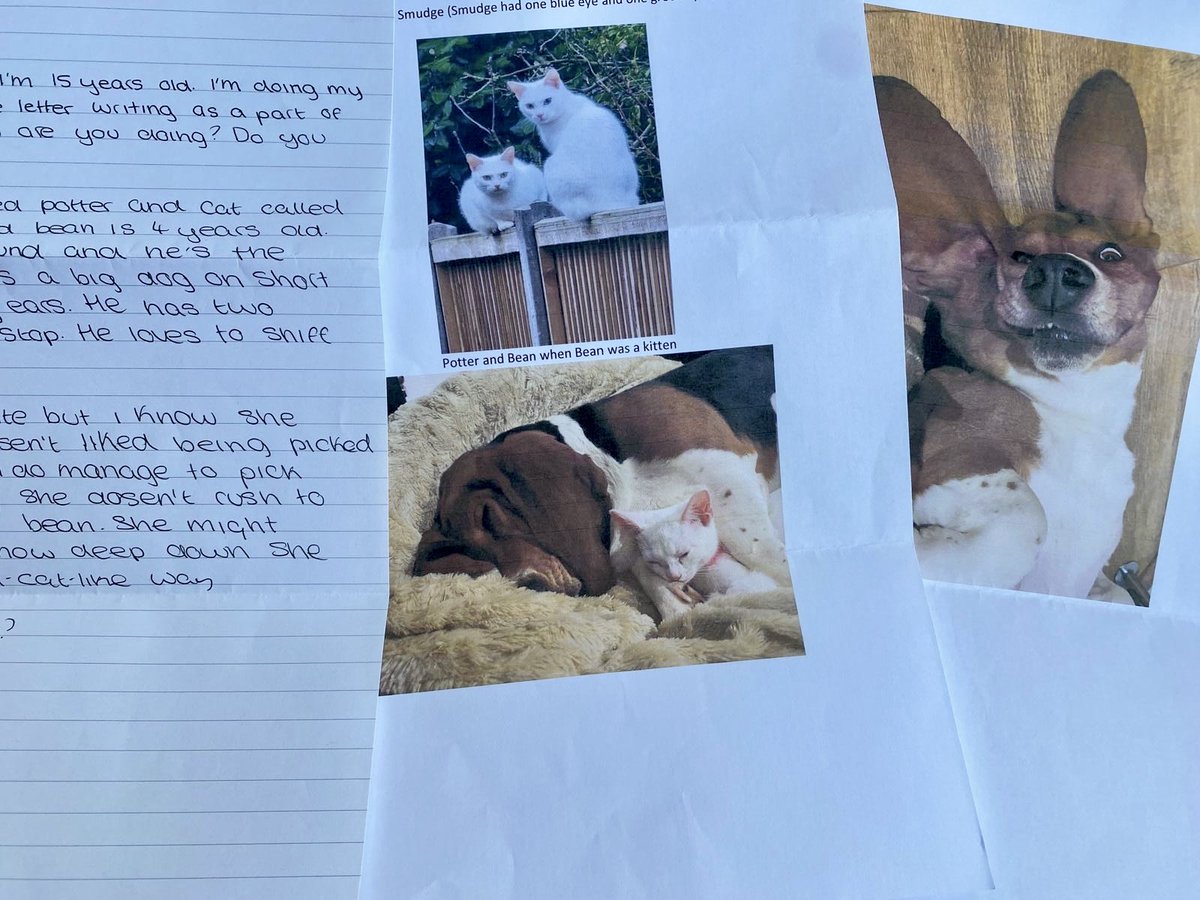 FromMeToYou tweet media