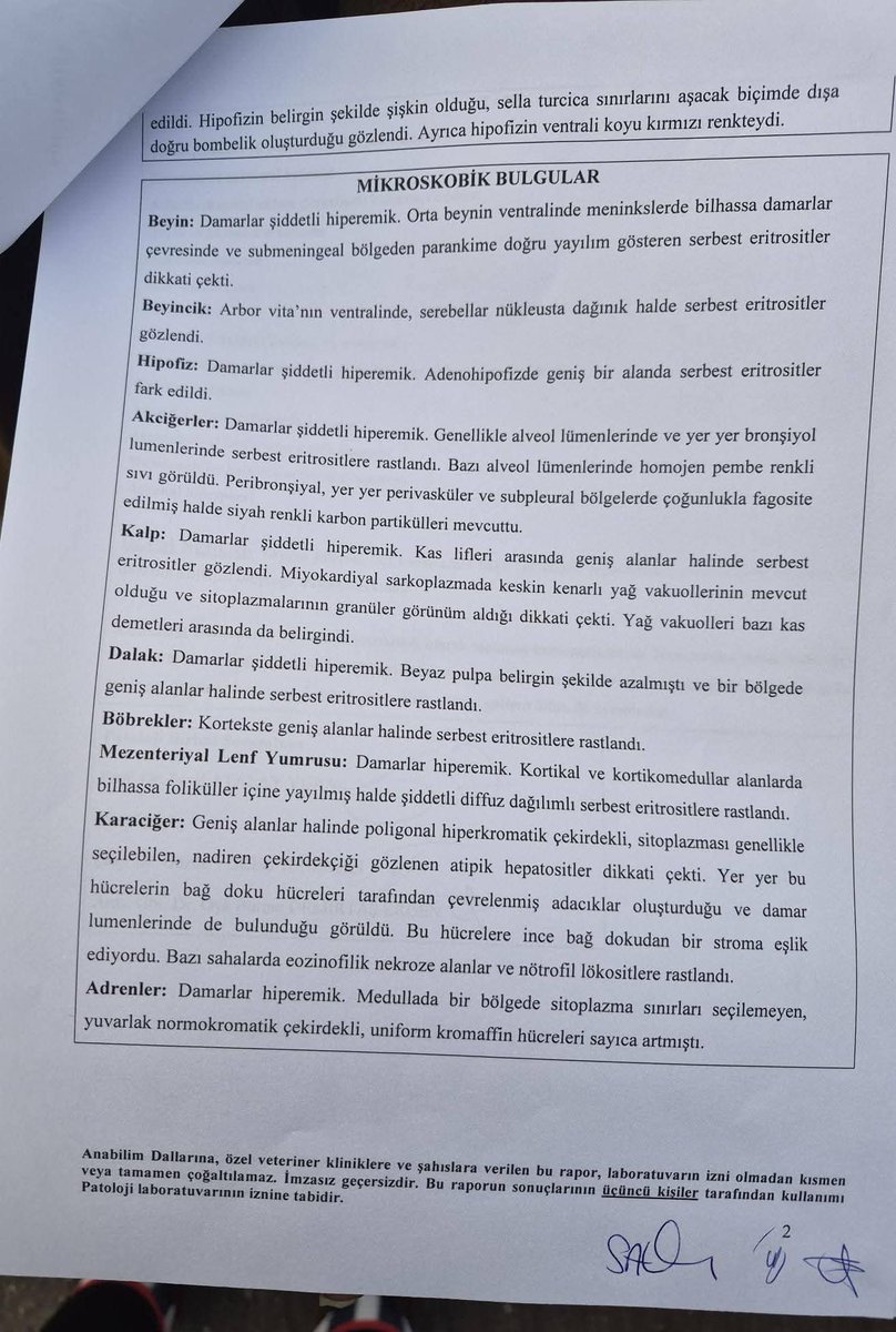 marble35izmir's tweet photo. MATMAZELİN NEKROPSİ RAPORU❗
VÜCUDUNUZDA DARBE ALMADIĞI TEK BİR BÖLGE KALMAMIŞ SURATINDAN TUTUN HER BÖLGEYE ÖLDÜRMEK İÇİN ELLERİNDEN GELENİ ARDLARINA KOYMAMIŞLAR @adalet_bakanlik Bakan @yilmaztunc BU KATİLLERİN EN AĞIR CEZAYİ ALMALARINI TALEP EDİYORUZ
#MatmazelİçinAdalet https://t.co/47T5wTSdgO