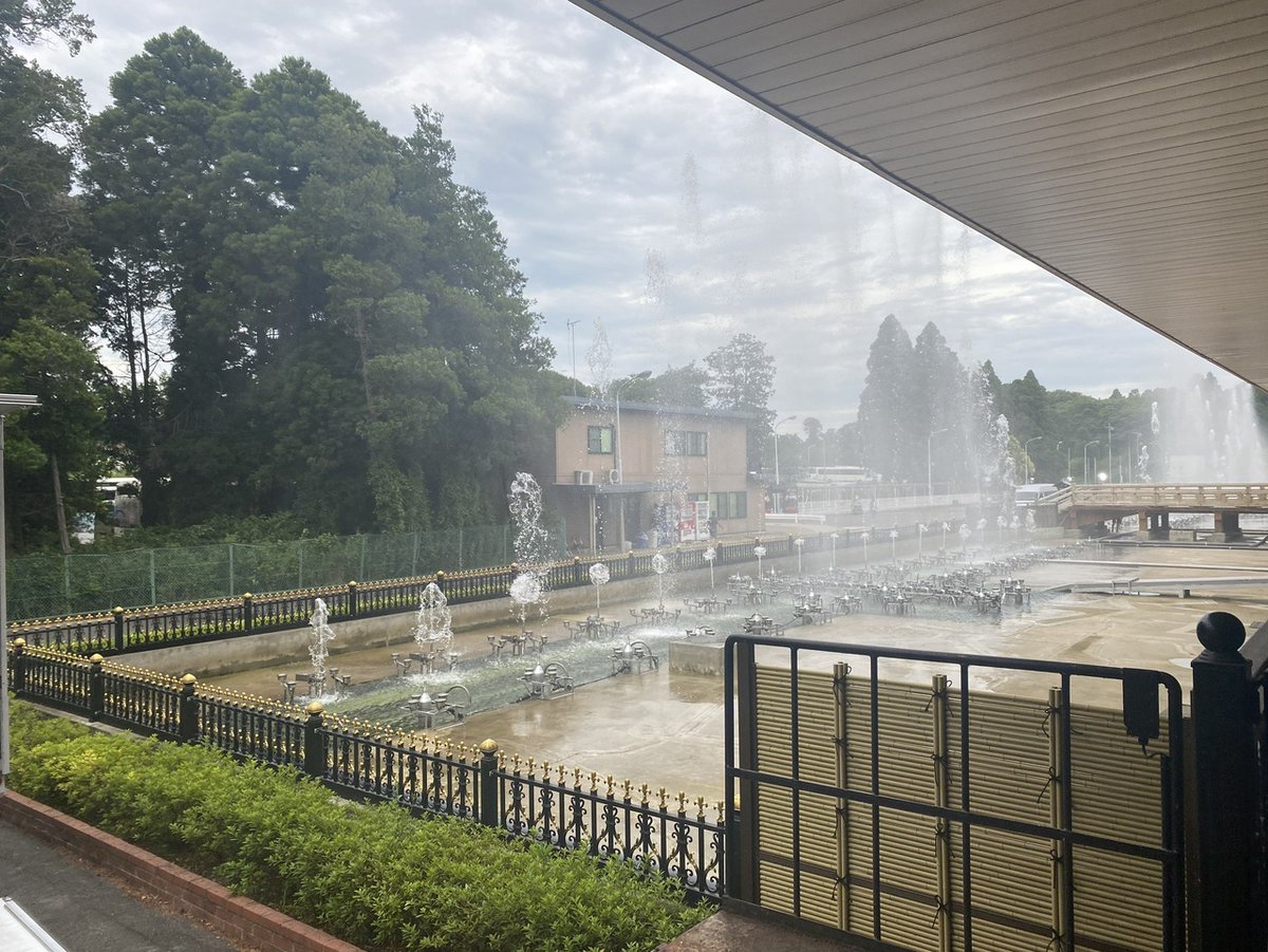 乃木坂46 tweet media