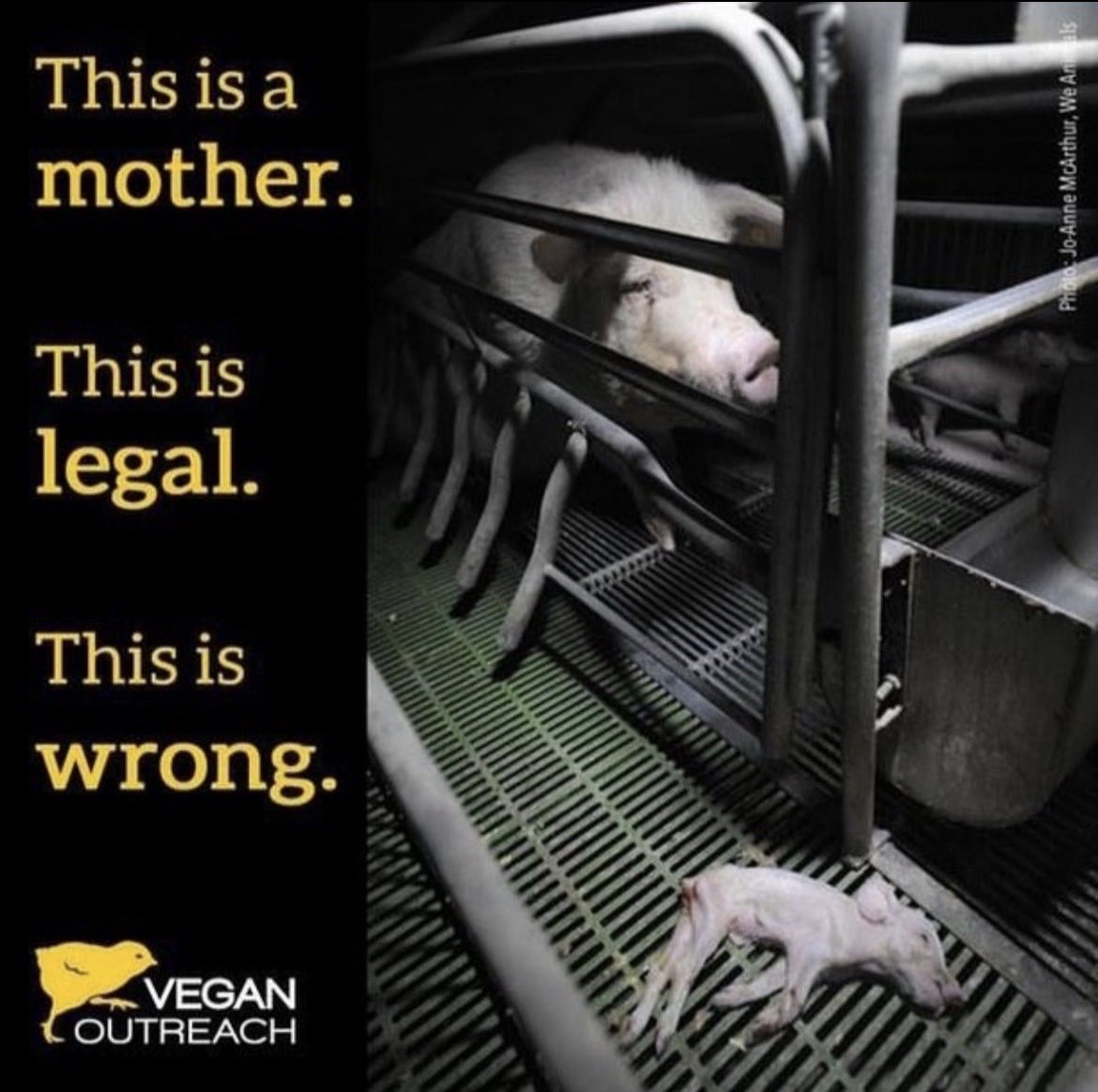 NothingIsArt's tweet image. 