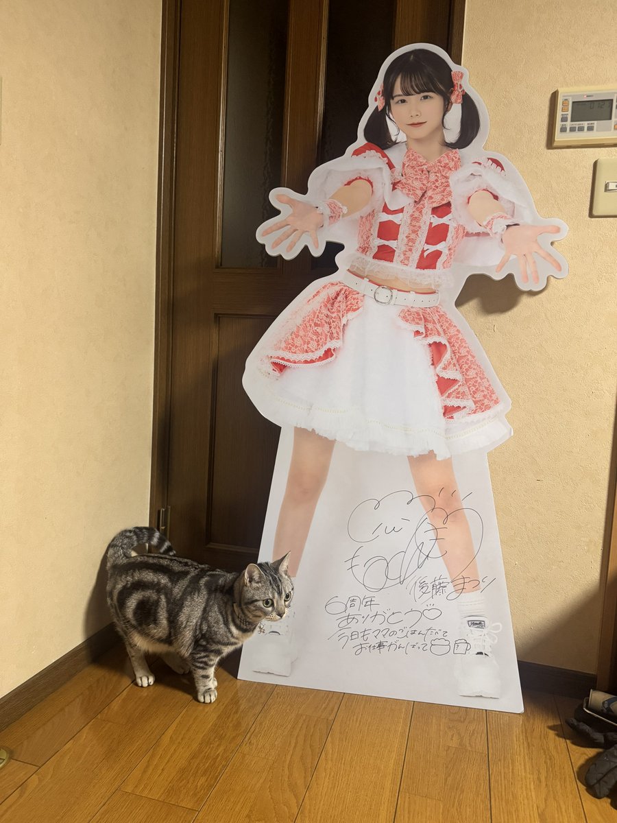 たけうてぃん (@no_damage_smile) / Posts / X