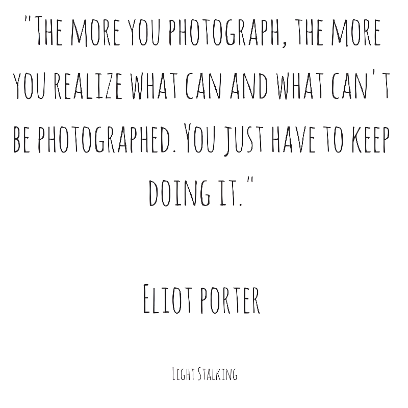 Light Stalking tweet media