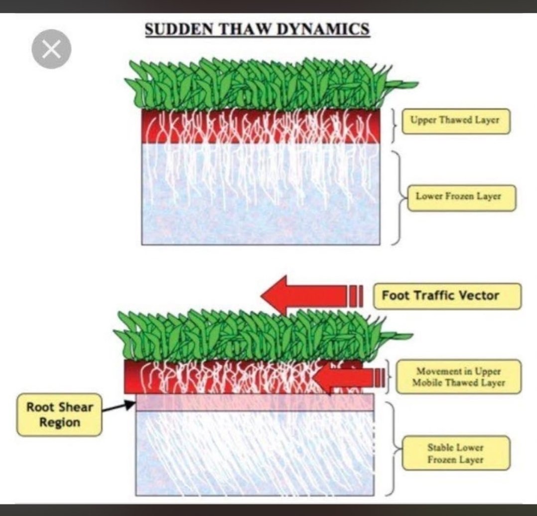 Bromsgrove GC Greenkeeping tweet media
