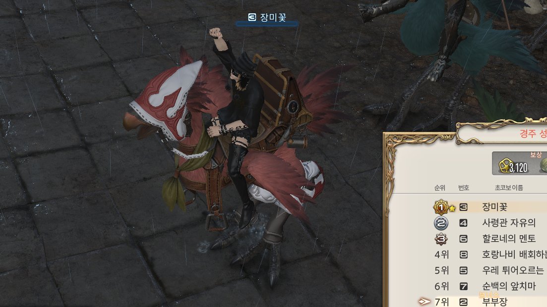 오랜만에 본 내 경주초코보
여전히 좋느구나