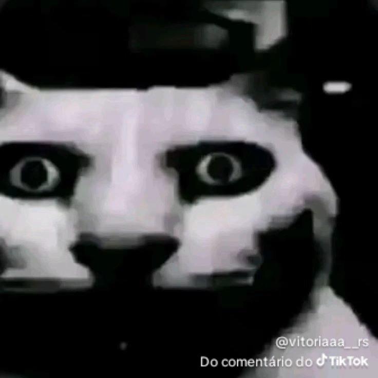 MarielliFide's tweet photo. @TumultoBR Que geração de adolescentes inúteis! Me apavoro só de pensar que no futuro se eu precisar de uma cirurgia vai ser um desses pamonhas que vão me operar https://t.co/l4FA4VltwM