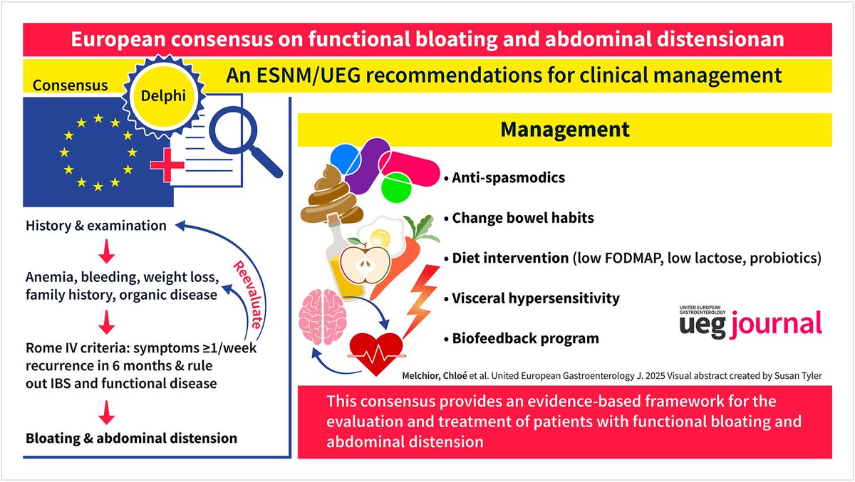 sepdigestiva's tweet image. 🆕📘 Guía 2025 sobre distensión abdominal y meteorismo funcional @my_ueg y @esnm_eu

Incluye:
1️⃣ Algoritmo de manejo
2️⃣ Visual abstract
3️⃣ Resumen de las principales recomendaciones

📸: @UEGJournal
🔗 onlinelibrary.wiley.com/doi/full/10.10…