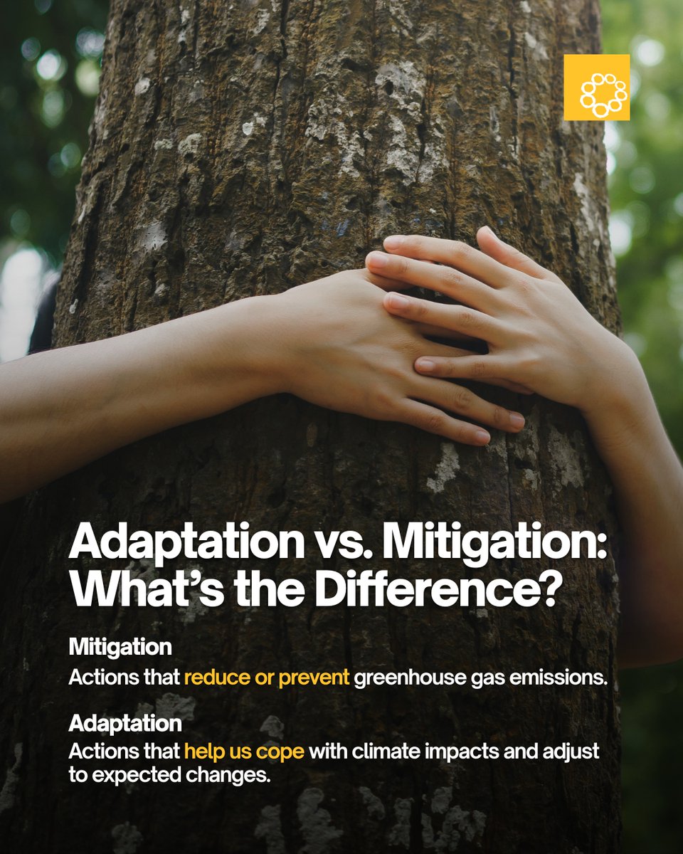 Oscar M. Lopez Center tweet media