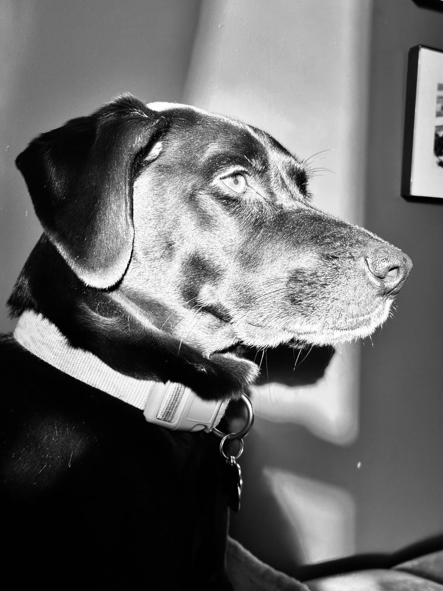 Jessica Noll tweet media