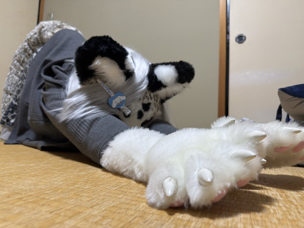 🐾まや⑧🐾⇛関西けもケット11 tweet media