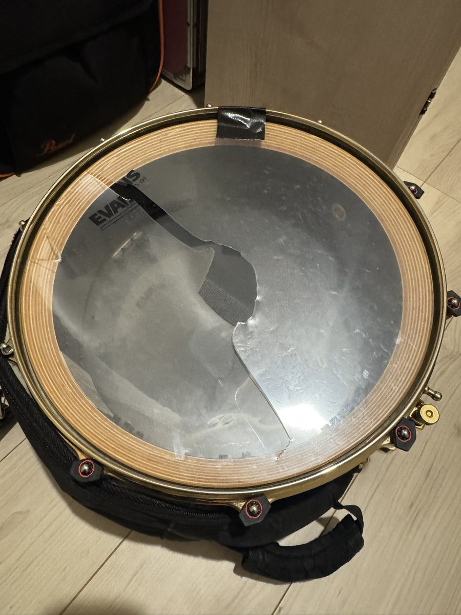 もうおとといですがワンマンライブ無事終了です、ありがとうございました！
人生で初めてスネアのヘッド破った時はめちゃ焦った、、
またライブでお会いしましょ〜

#octaviagrace