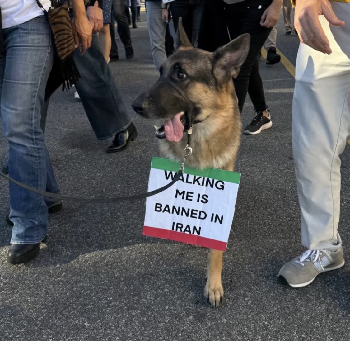 aziz0nomics's tweet image. One of the best protest signs I've ever seen

#FreeIran