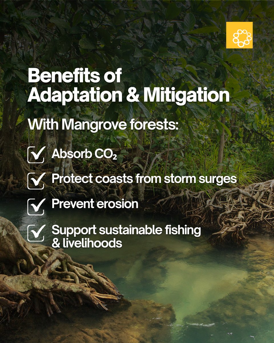 Oscar M. Lopez Center tweet media