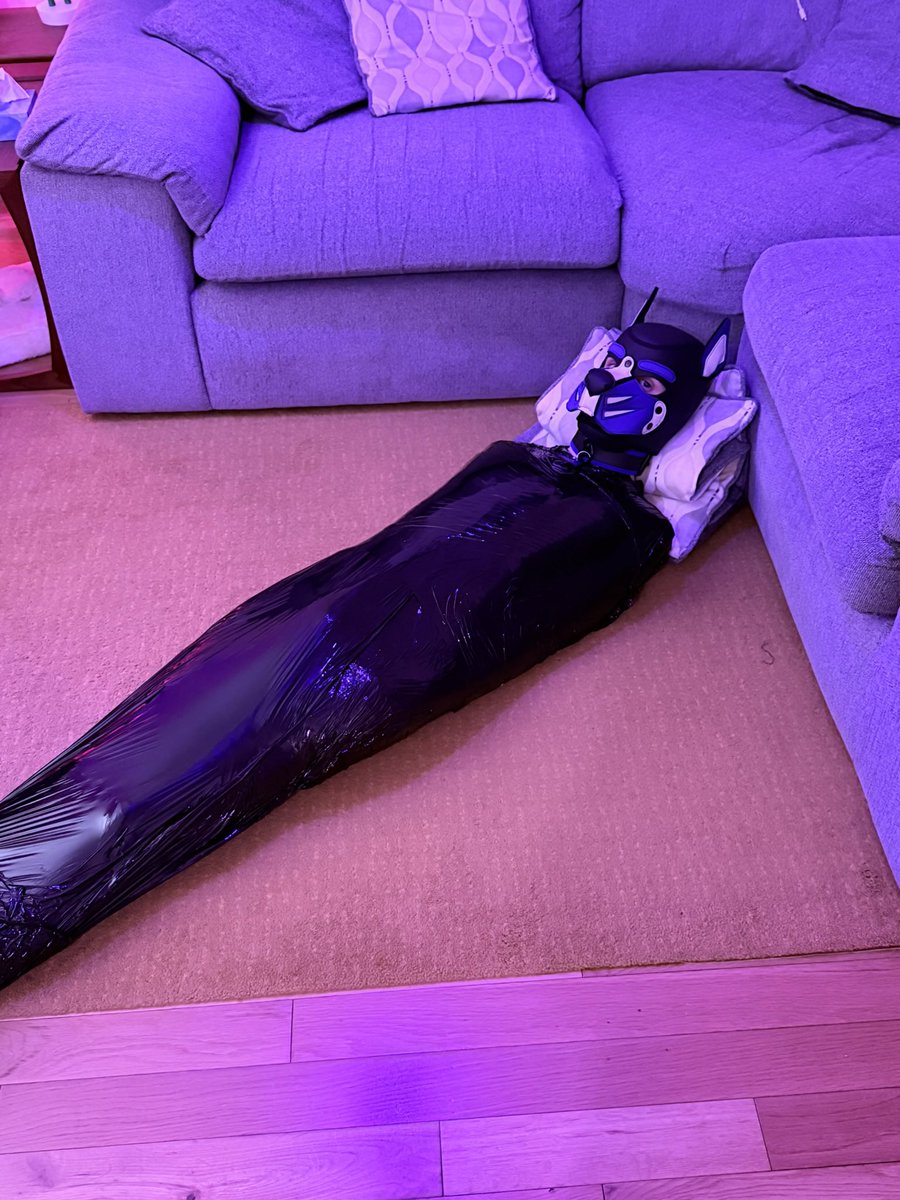 Did someone order a puppy? 🐶

📸 <a href="/PupAnansi/">Pup Anansi</a>