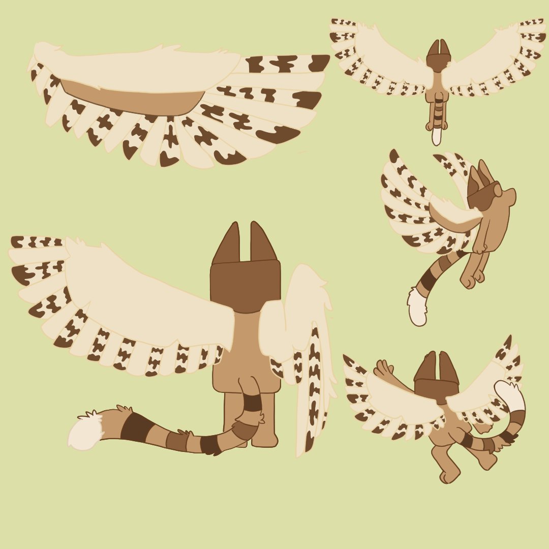 Y así es como se ve el de espaldas ✨️👀🌟