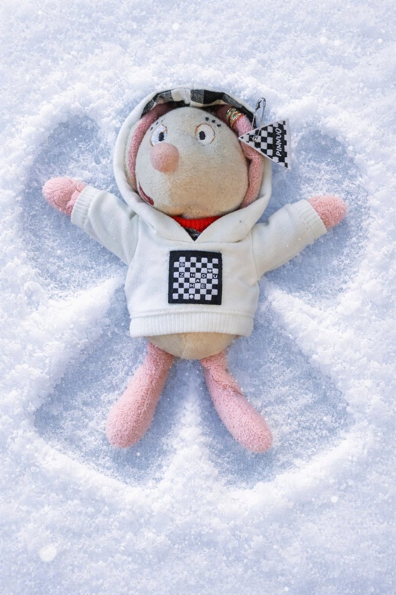 Bevor der Schnee wieder weg ist ,habe ich noch einmal den Schneeengel gemacht🐭😀