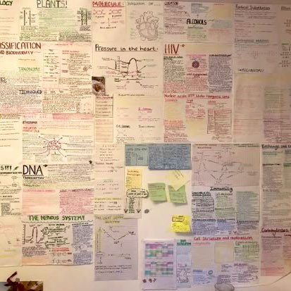 segryl ✰ tweet media