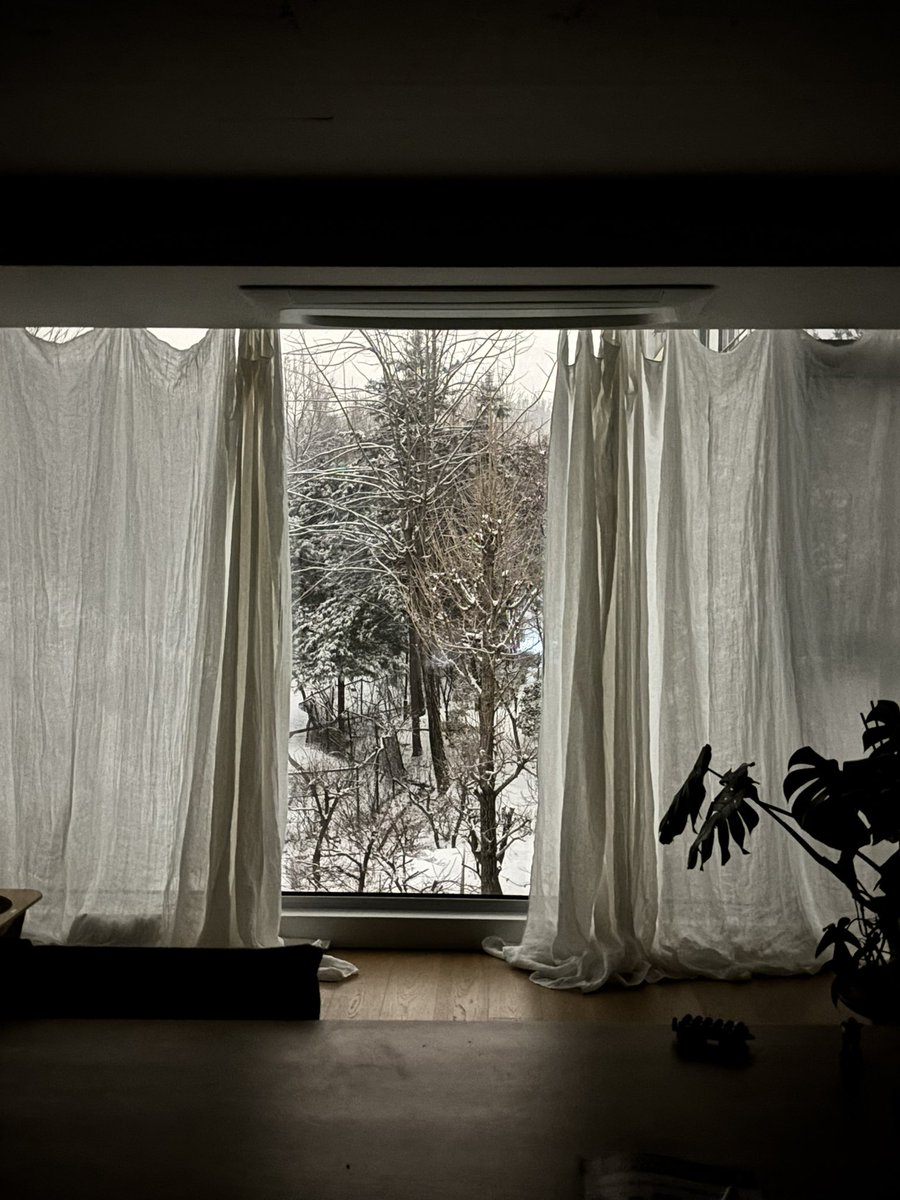 filigranpflanze's tweet image. 지금 자정인데 창 밖이 너무 환하다. 보고도 믿기지 않아 찍었다. 조명 따로 켜거나 색보정 한 것 하나도 없는 아이폰 기본 카메라. 눈이 오면  한 밤 중에도 이렇게 밖이 환하구나.