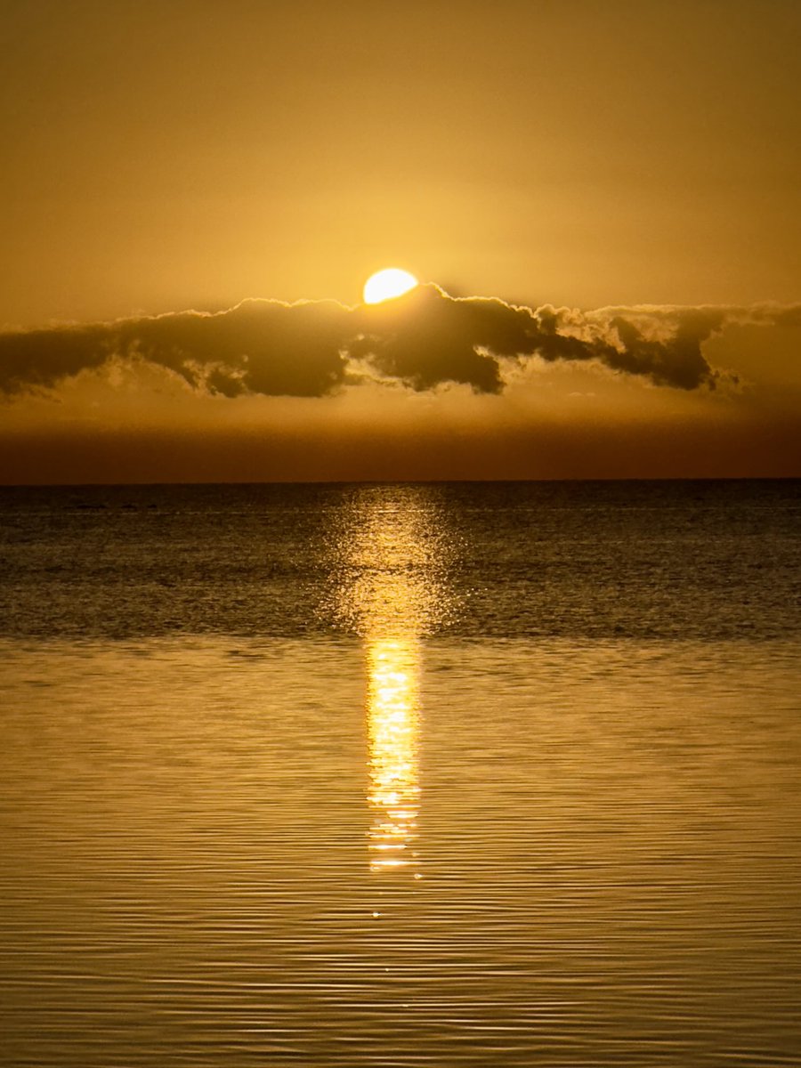 D_Scrofani's tweet photo. Good morning lovely friends ✨🫶

Visual Poetry Editions: The Shape of Silence

Seeds

The light returned
before I did.
Beneath the stillness,
a tectonic shift-
unmarked,
unspoken.
I said nothing;
you said less.
And the silence
breathed between us.
A slow realignment-
unseen, but felt.
Without words, you witnessed me
