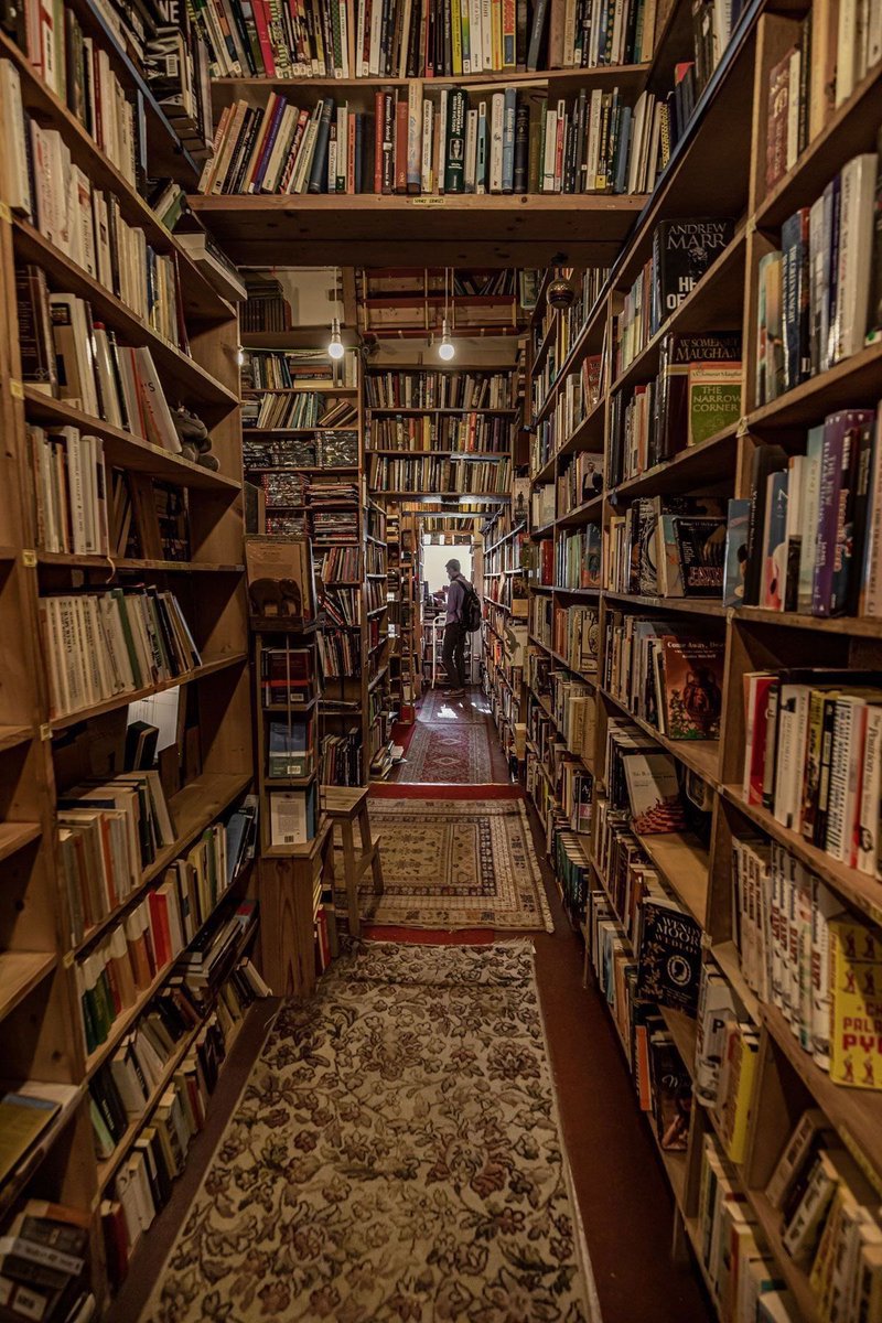 lizardbetter's tweet photo. books i read in 2026 *:･ﾟ✧*:･ﾟ https://t.co/VF90WPFT1P